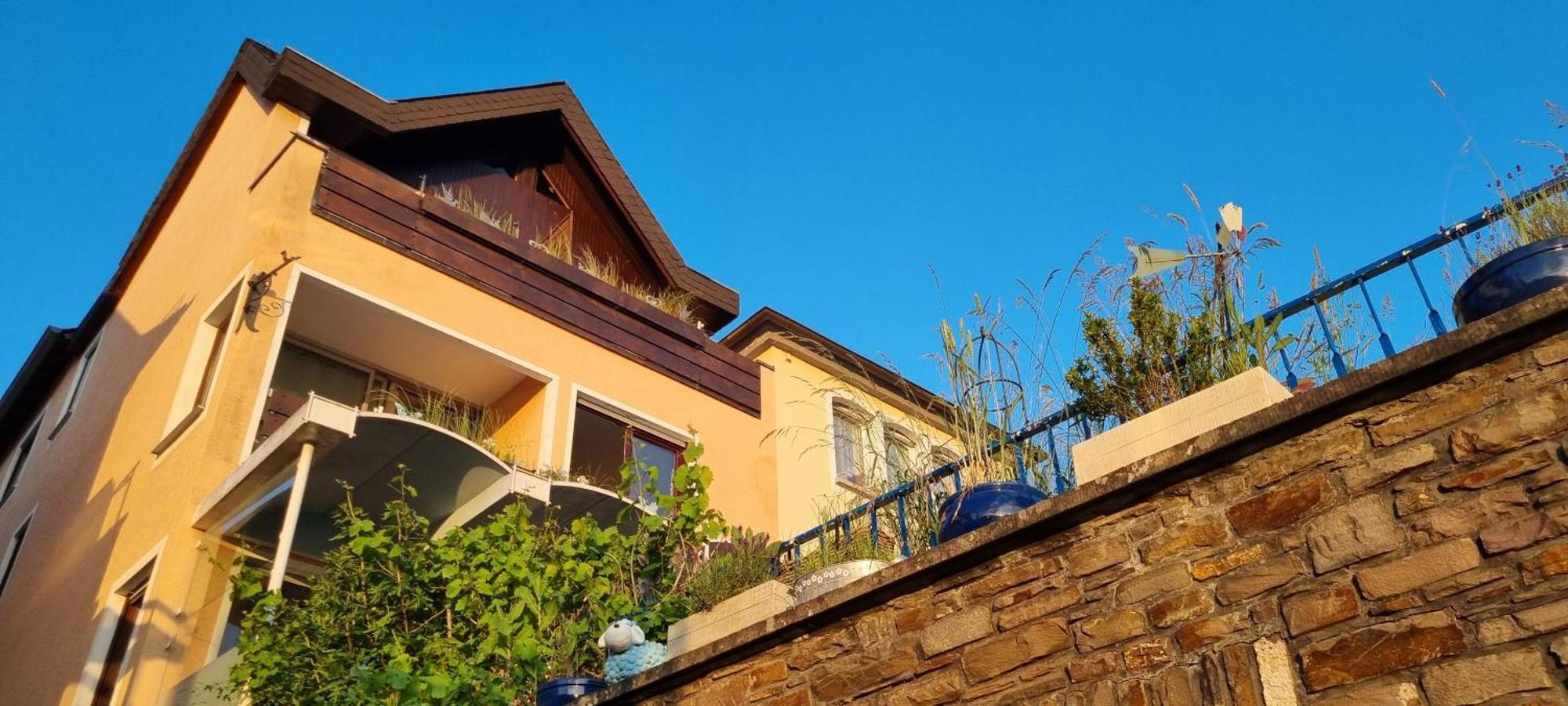 Pension Regina Cochem Dış mekan fotoğraf
