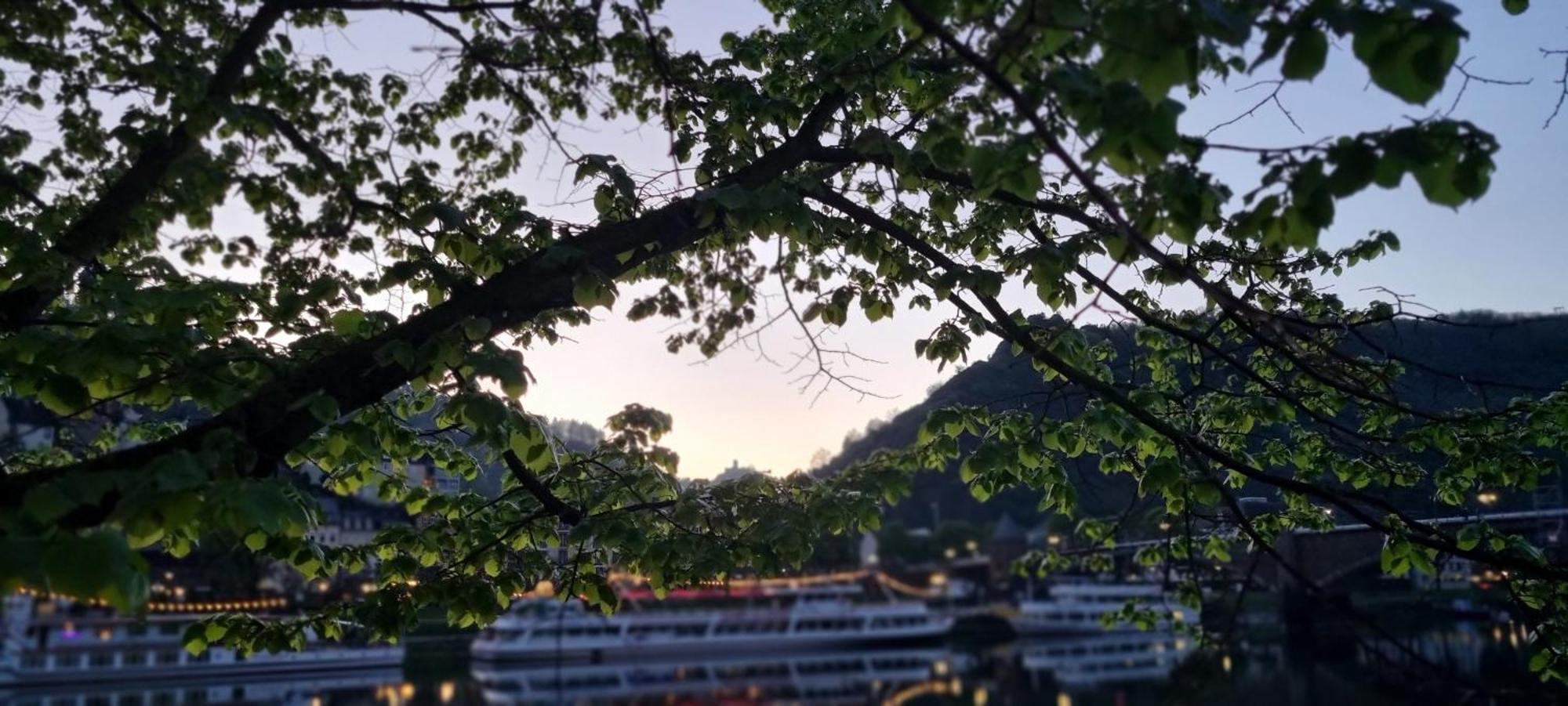 Pension Regina Cochem Dış mekan fotoğraf